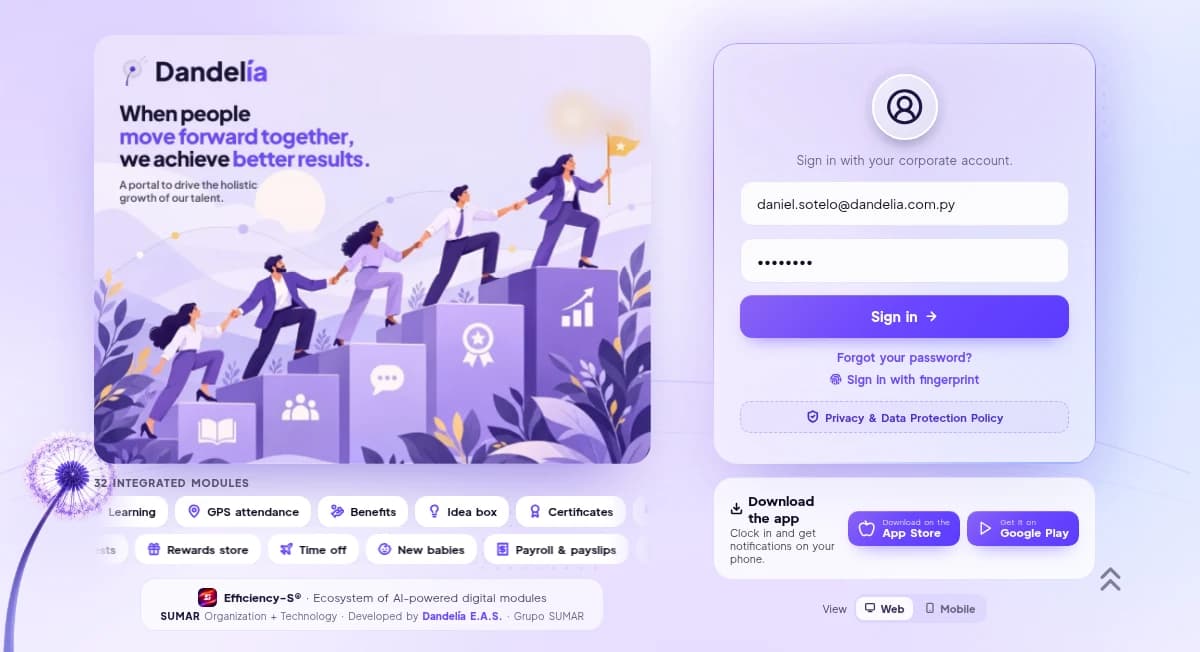 Preview of the Efficiency-S portal: sign-in screen
